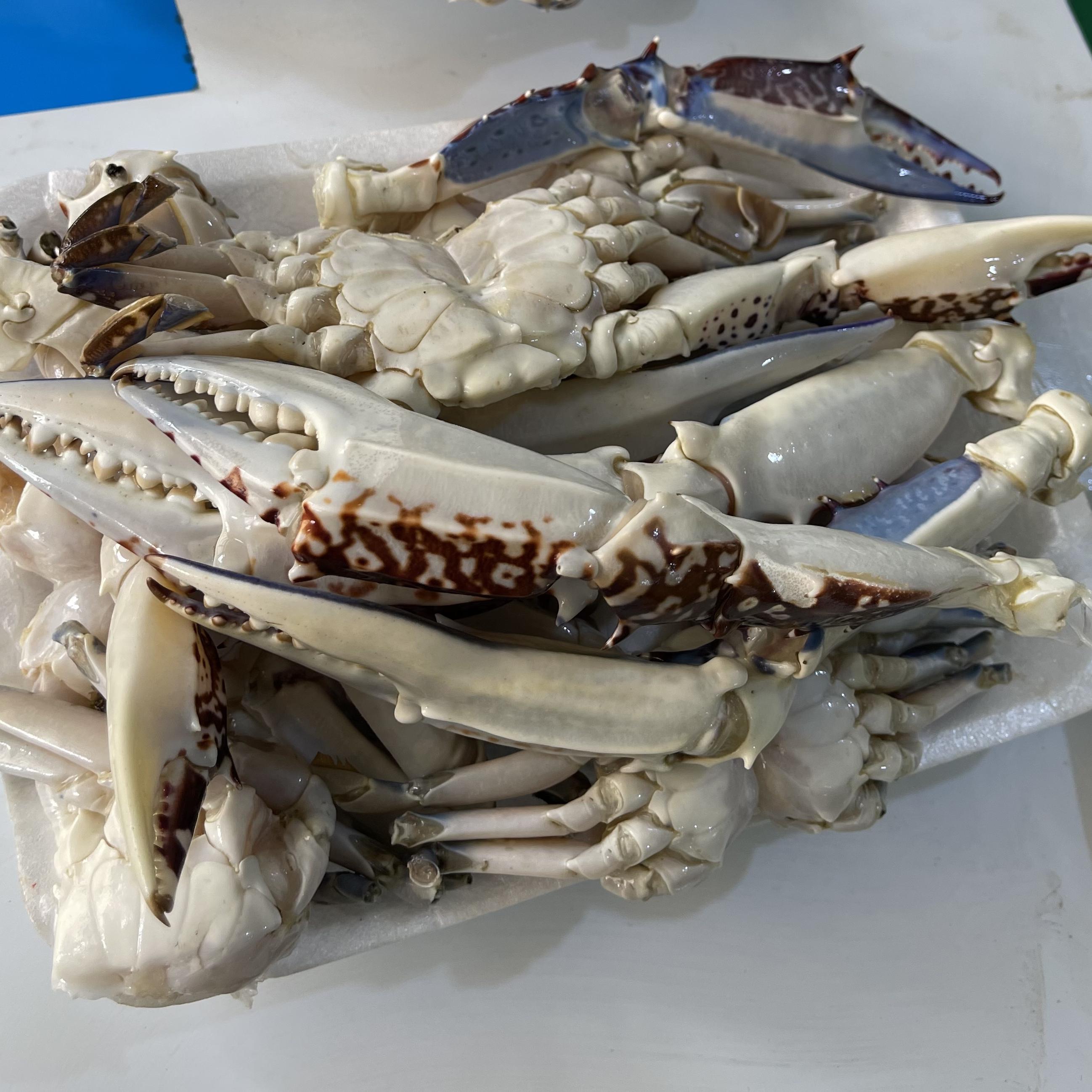 CRAB (FULL) 1KG