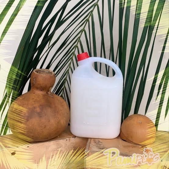 PALM WINE 5LTR