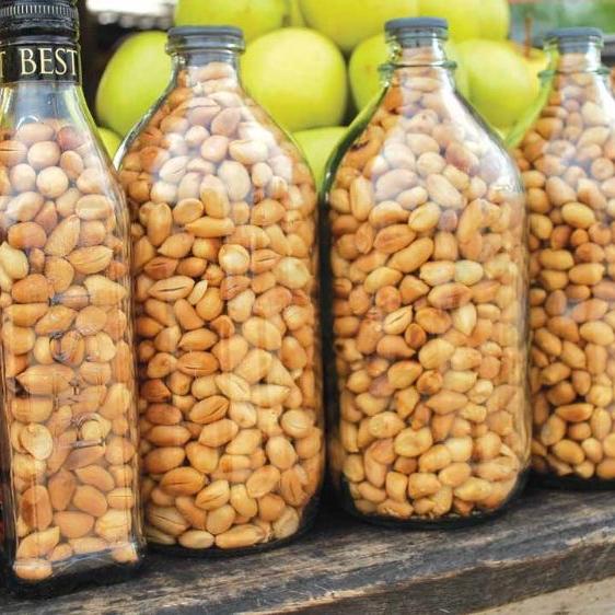 GROUNDNUT big size